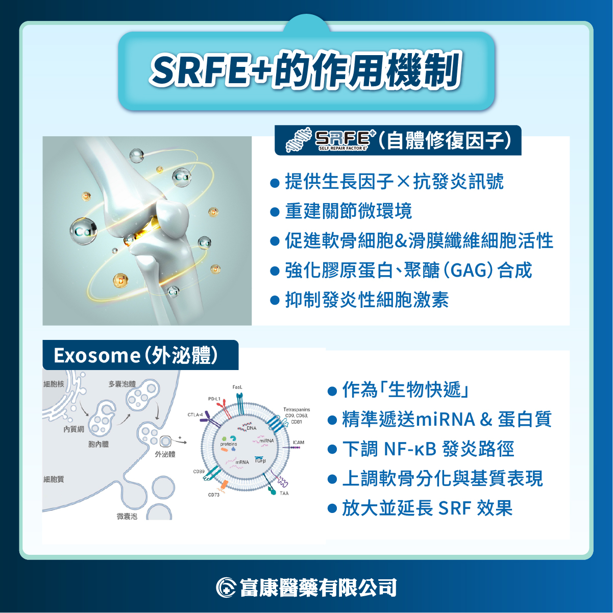 SRFE+是什麼?自體血小板生長因子在關節修復與疼痛治療的再生醫學新趨勢解析(上) SRFE+是什麼?自體血小板生長因子在關節修復與疼痛治療的再生醫學新趨勢解析(上) - 富康醫藥